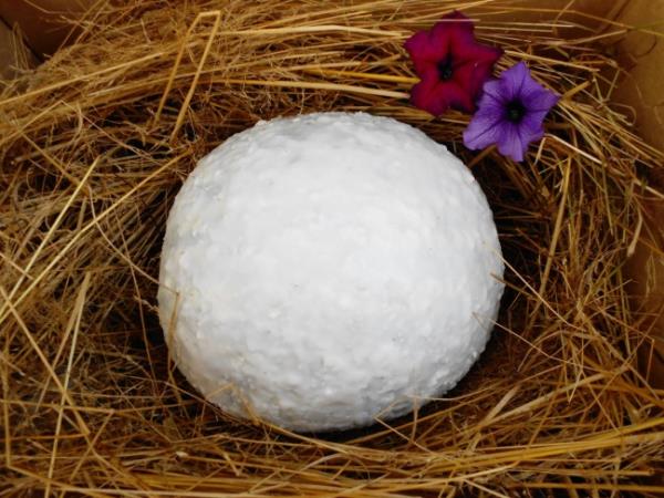 Kako ohraniti lubenico svežo do božiča